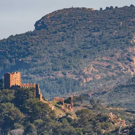 Cau De 